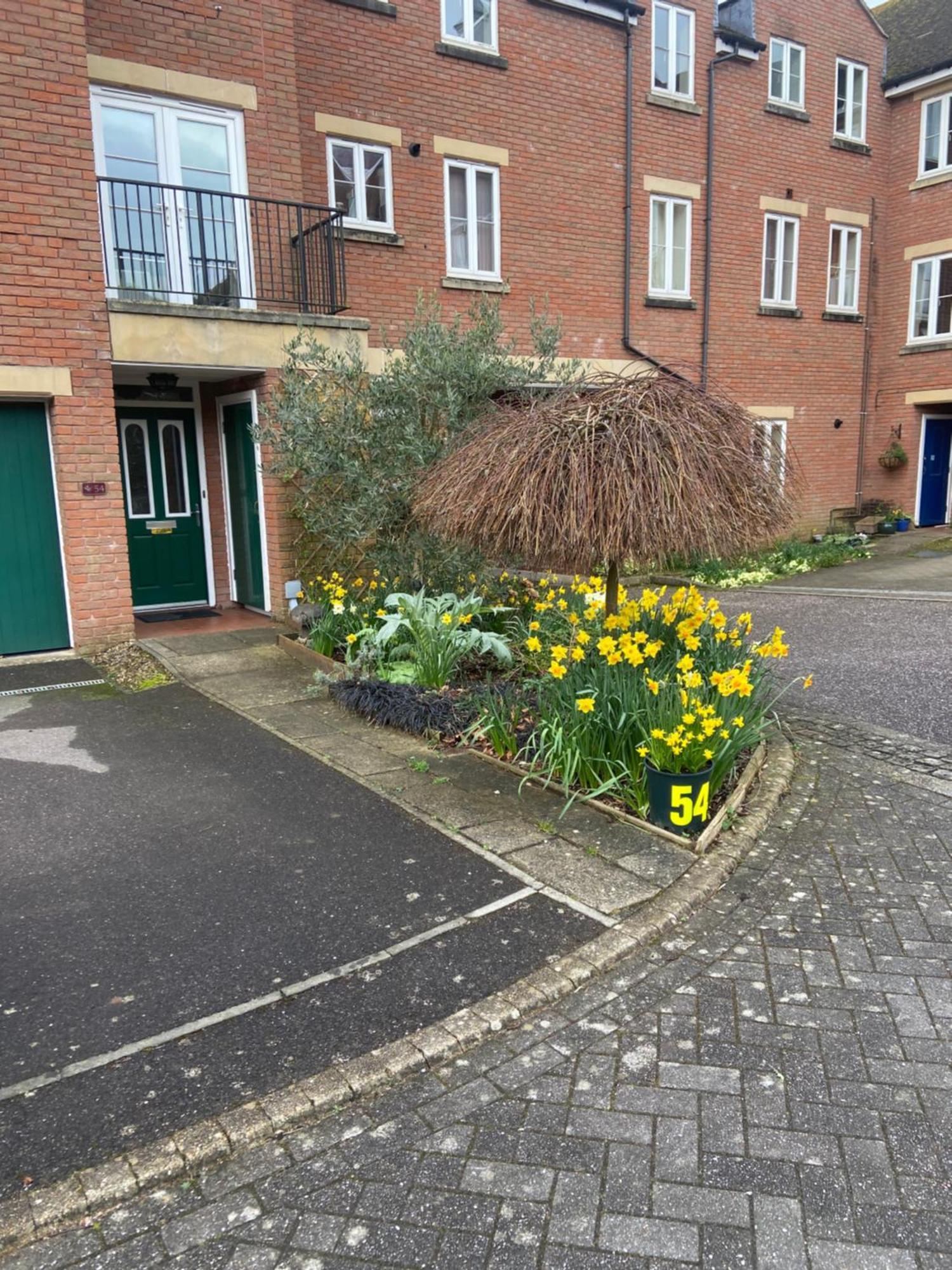 Gras Lawn B&B Exeter Luaran gambar