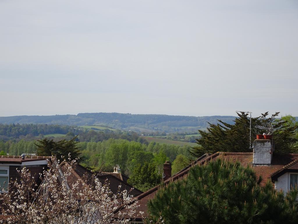 Gras Lawn B&B Exeter Luaran gambar